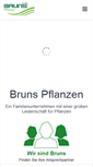Mobile Screenshot of bruns.de